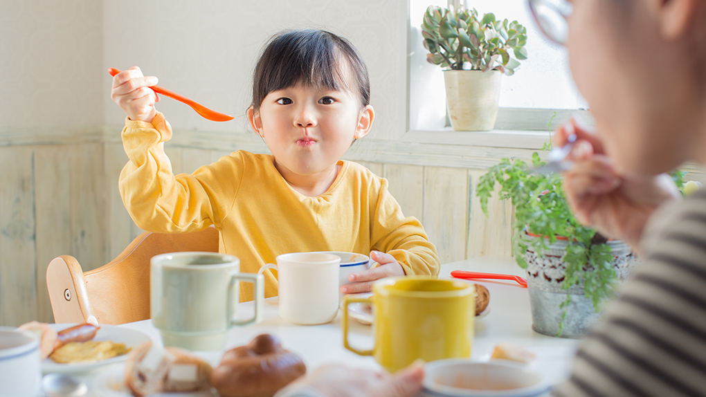 whole wheat atta dishes for your toddler